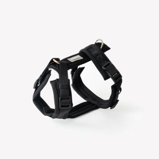 Black Comfort Harness