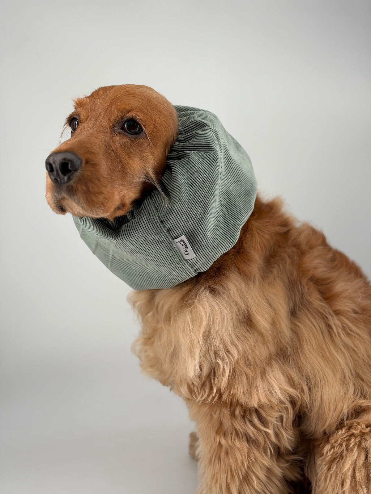 Snood velours côtelé Kaki