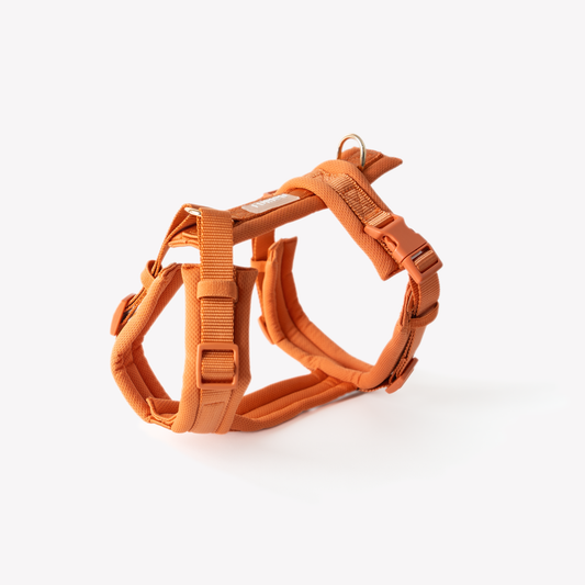 Terracotta Comfort Harness