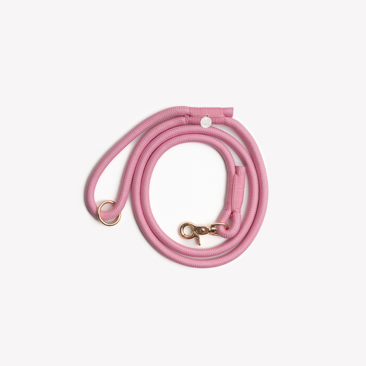Laisse en nylon Pink