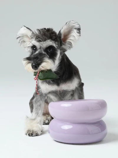 Design pet bowl