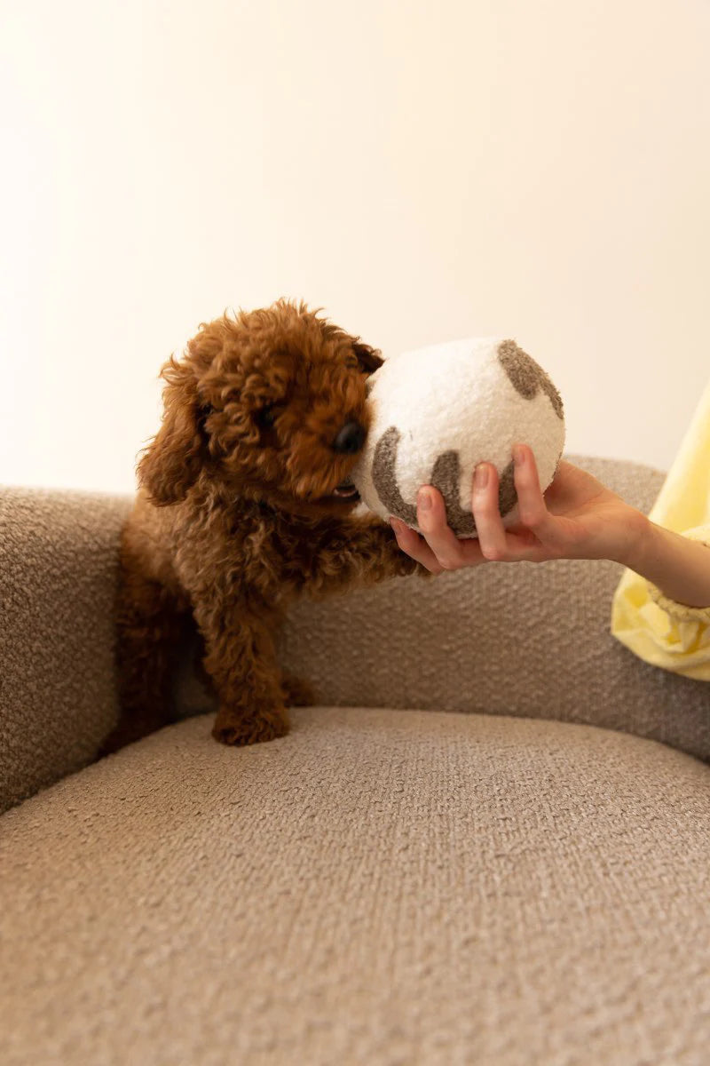 jouet-pour-chiens-bordeaux-nugget