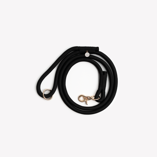 Laisse en nylon Black