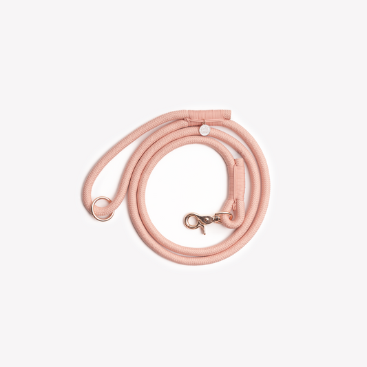 Laisse en nylon Powder rose