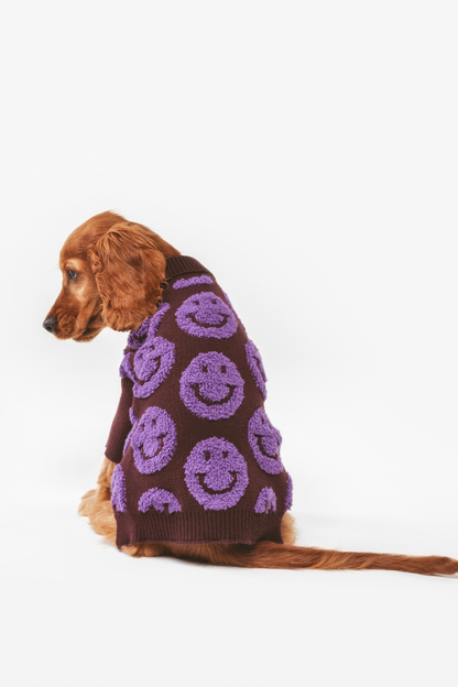 Pull Smiley marron et lila