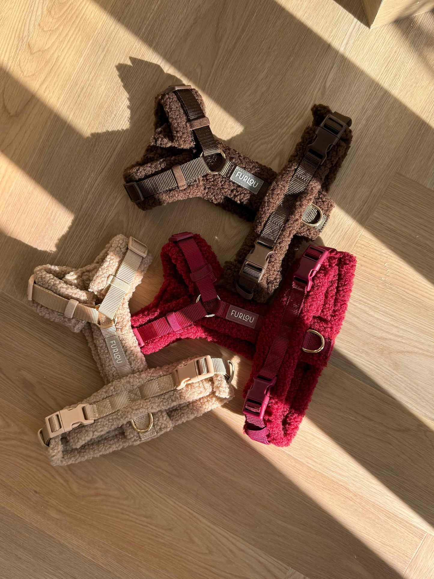 Harnais sherpa Bordeaux