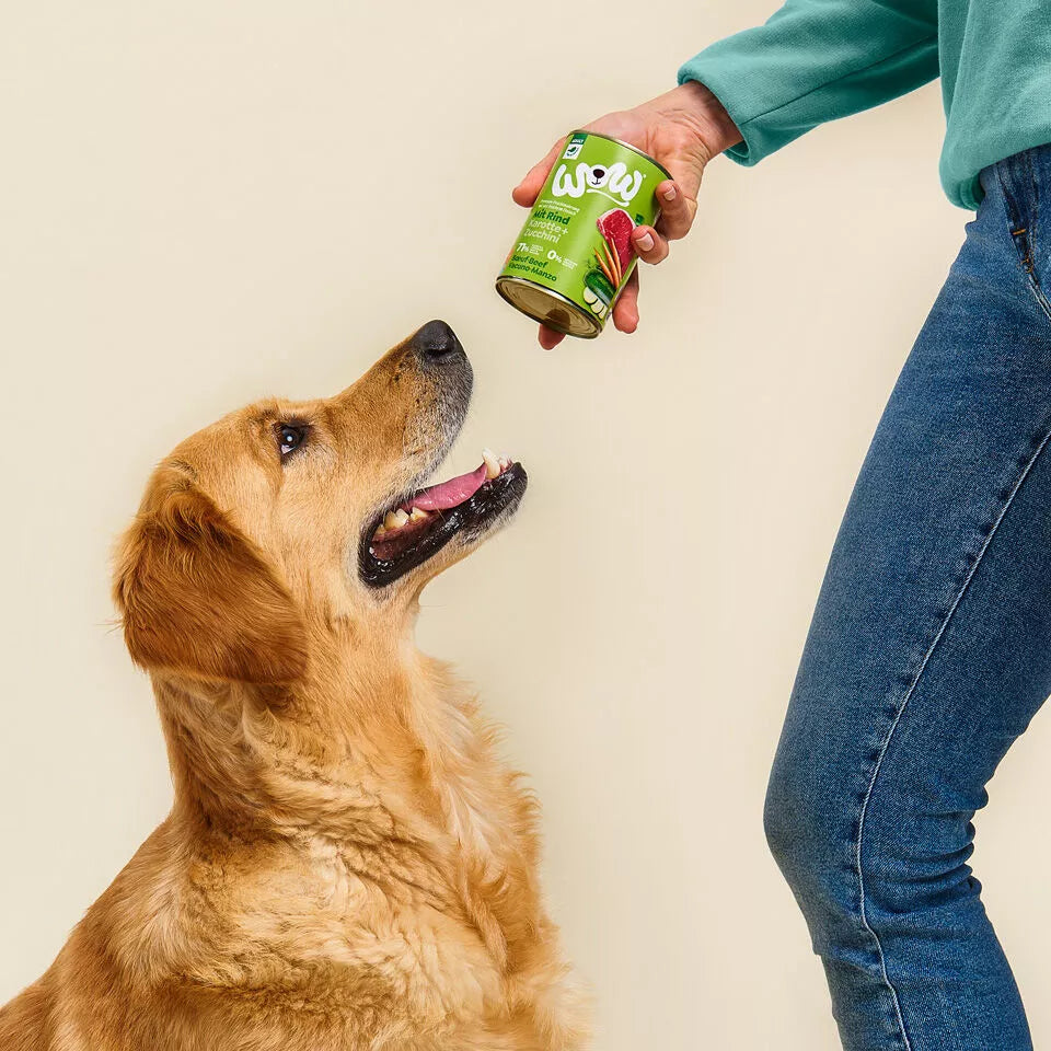 Pâté pour chien au bœuf