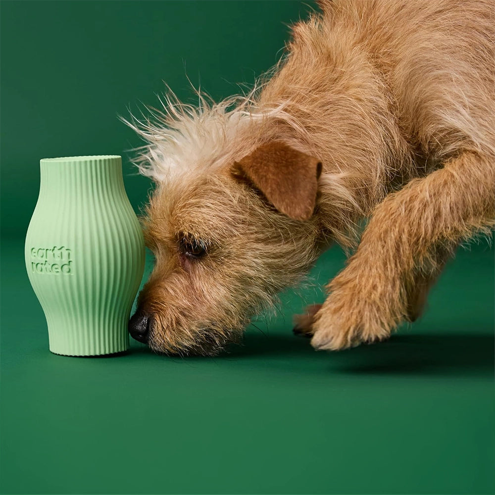 Treat dispensing toy