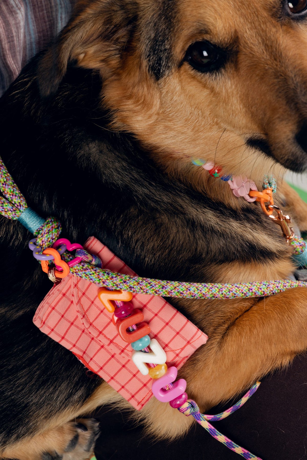 Distributeur de sacs - Rose