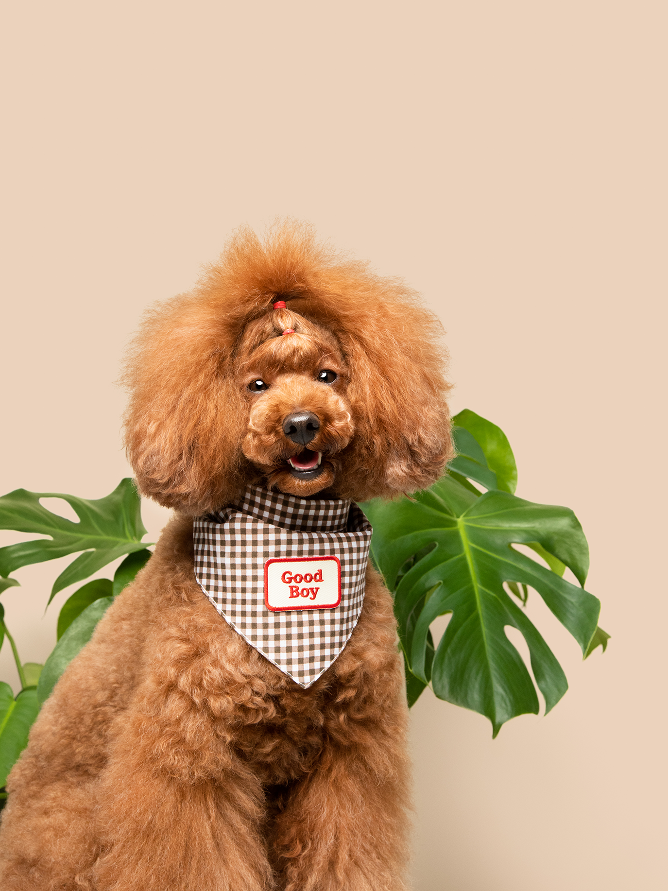 écusson-thermocollant-chien-bandana-nugget