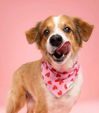 Bandana à cœurs rose