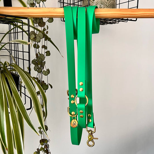 Multi-position leash - Tropical green