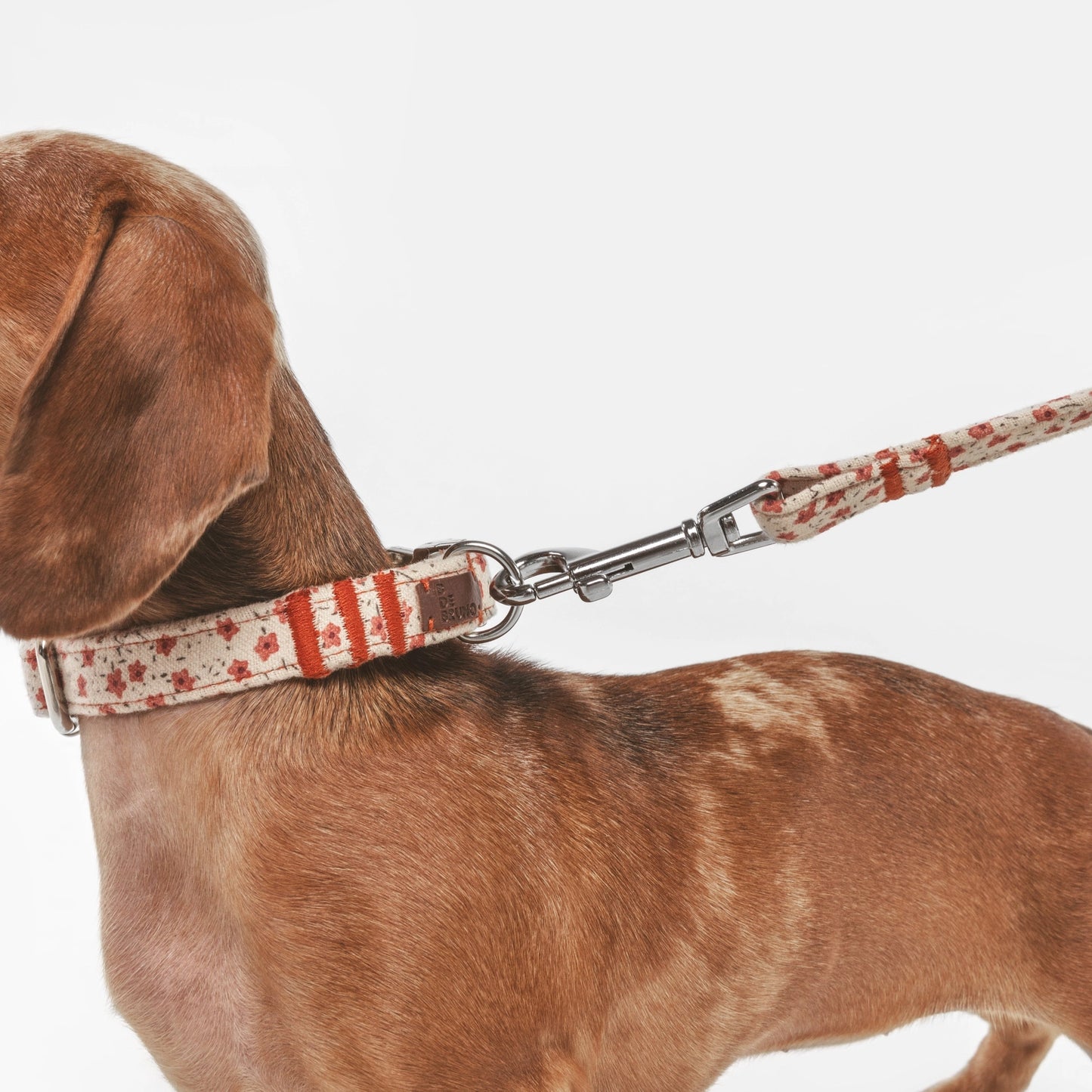 Multi-position flower leash