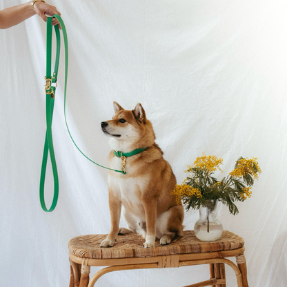 Multi-position leash - Tropical green