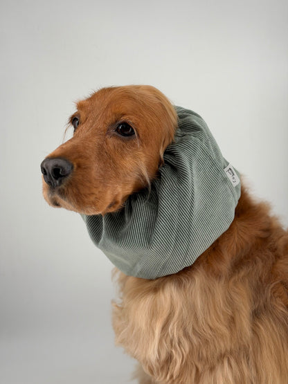 Snood velours côtelé Kaki