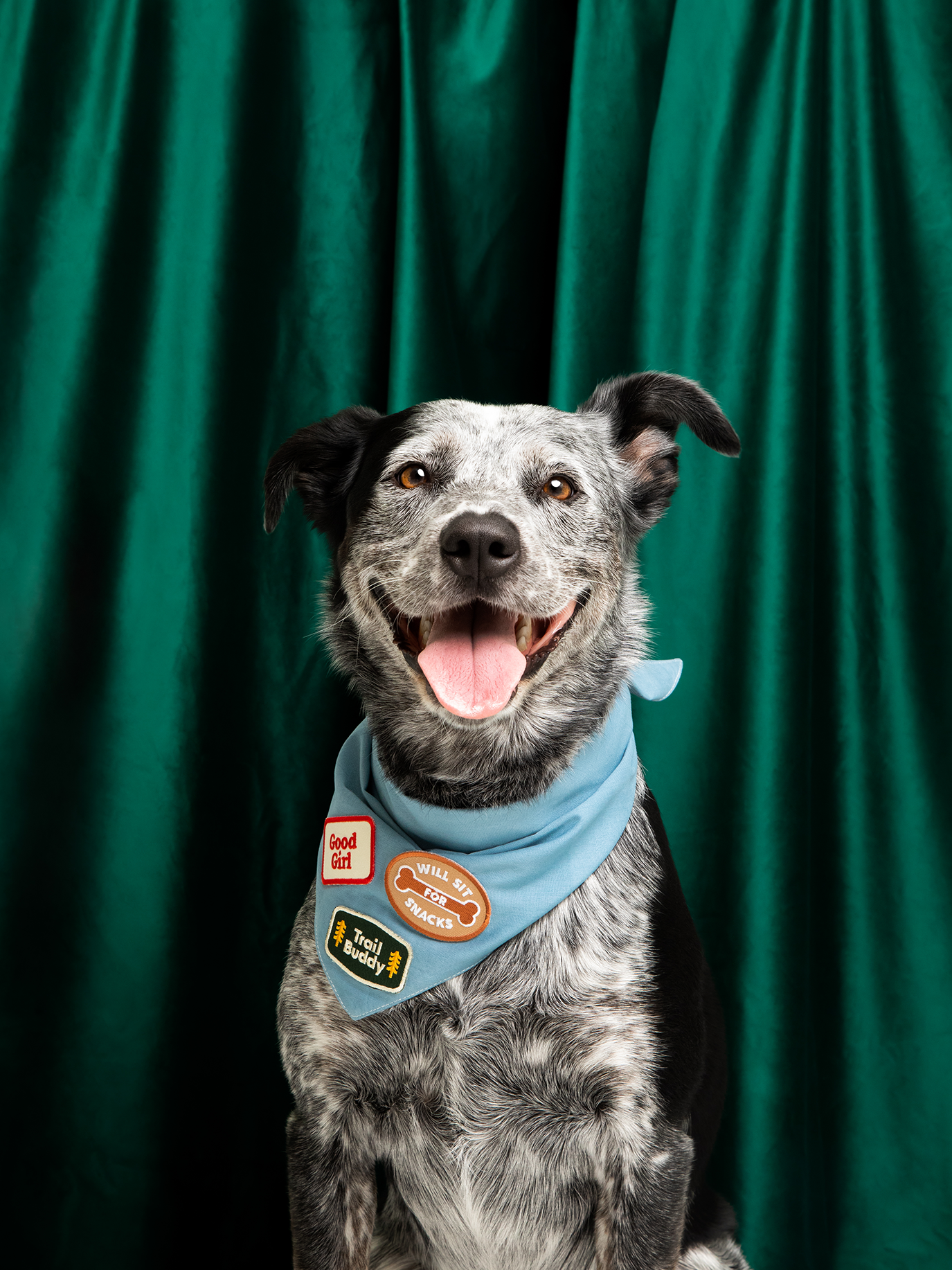 écusson-thermocollant-chien-bandana-nugget