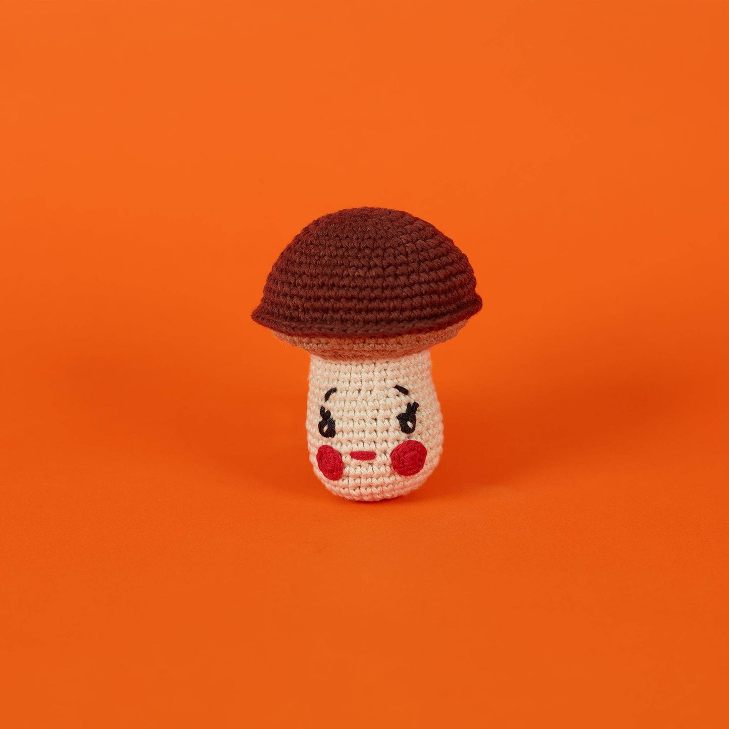 Crochet Mushroom Toy