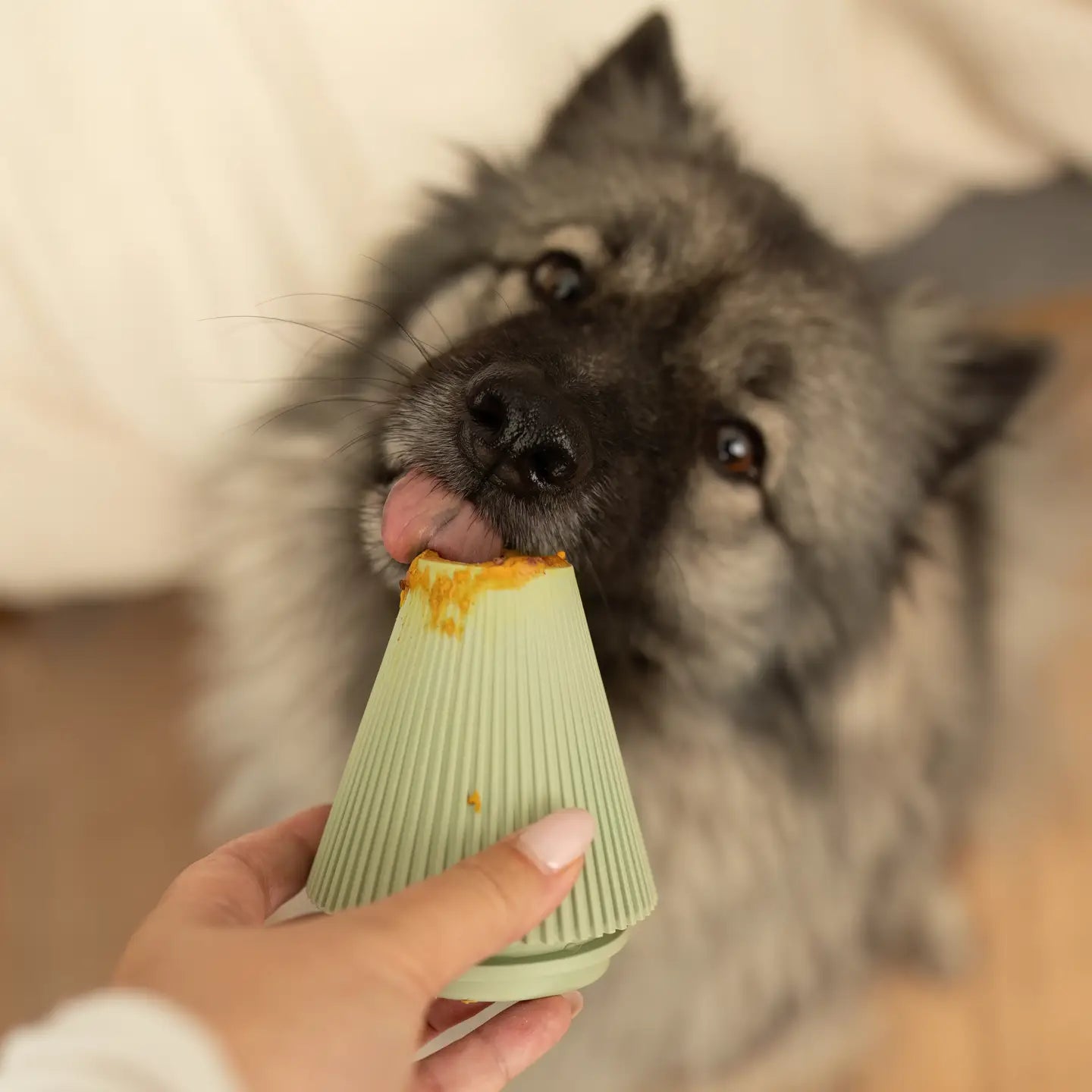 Green enrichment toy