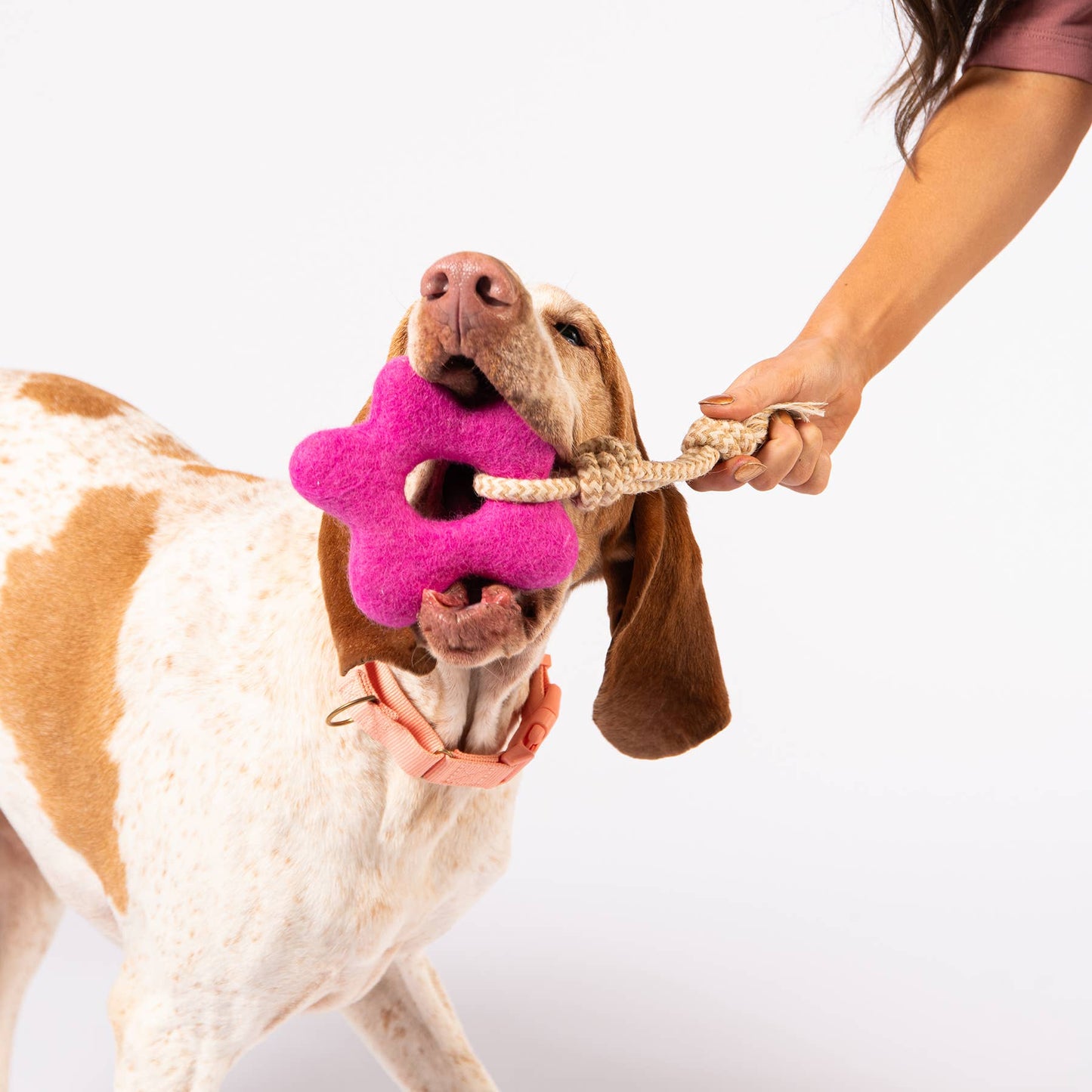 jouet-rose-pour-chien