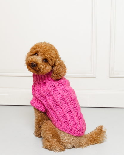 pull-chien-tricot-bordeaux-nugget