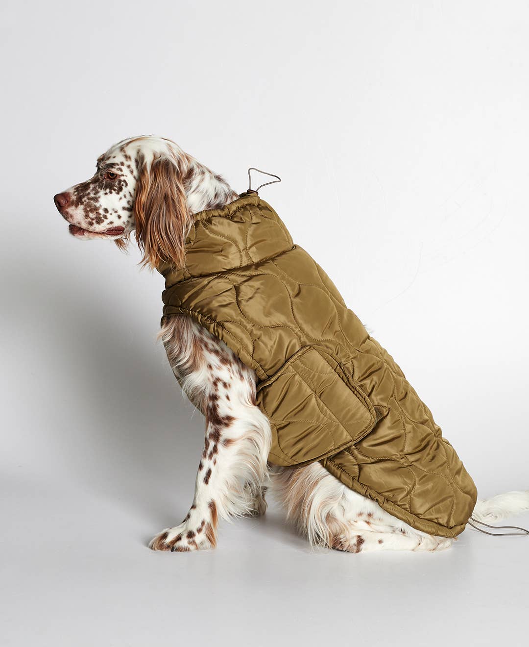 manteau-chien-bordeaux-nugget-conceptstore