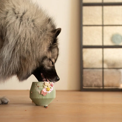 Green enrichment toy