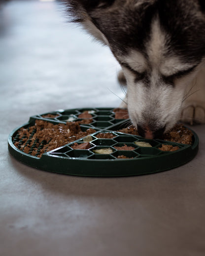 Fir Green Licking Mat