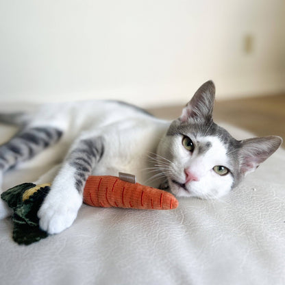 Catnip carrot toy