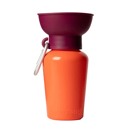 Gourde Valencia Limited Edition