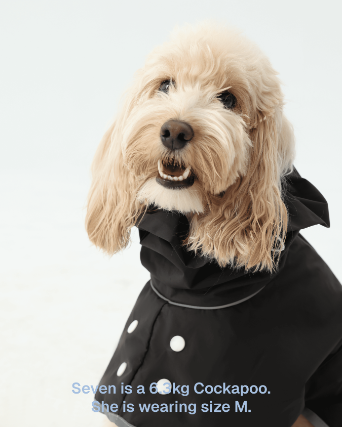 Imperméable noir