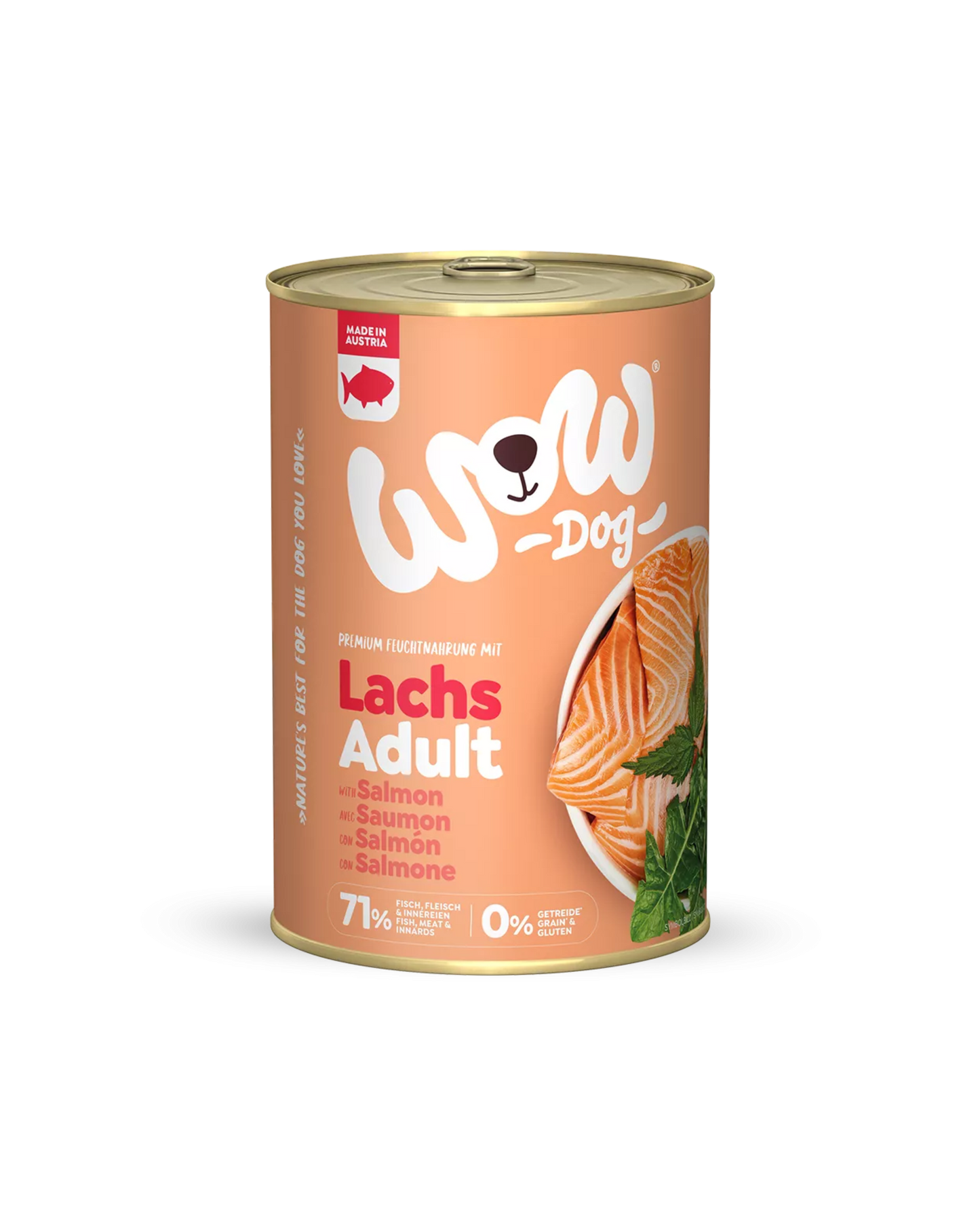 Pâté pour chien au saumon