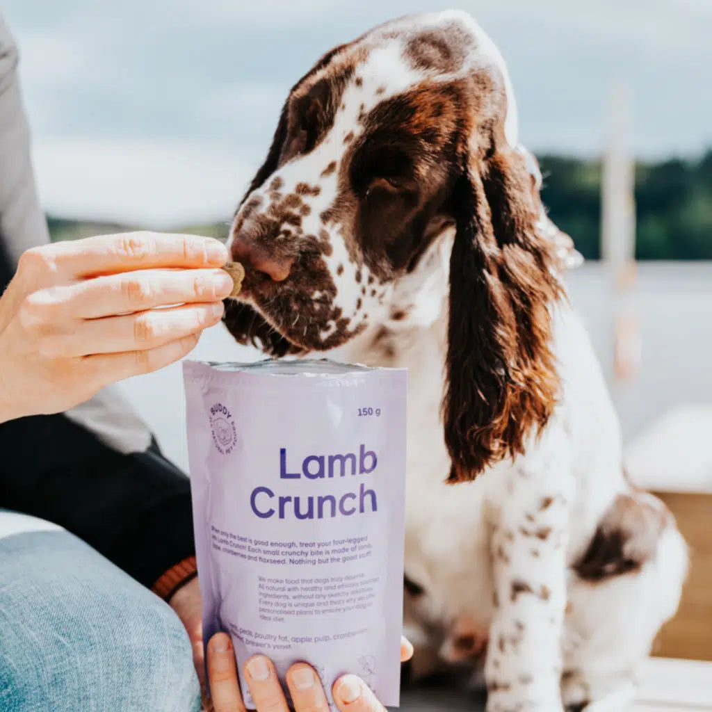 Natural Lamb and Cranberry Treats