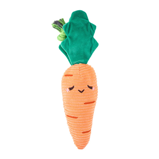 Carrot toy with rope