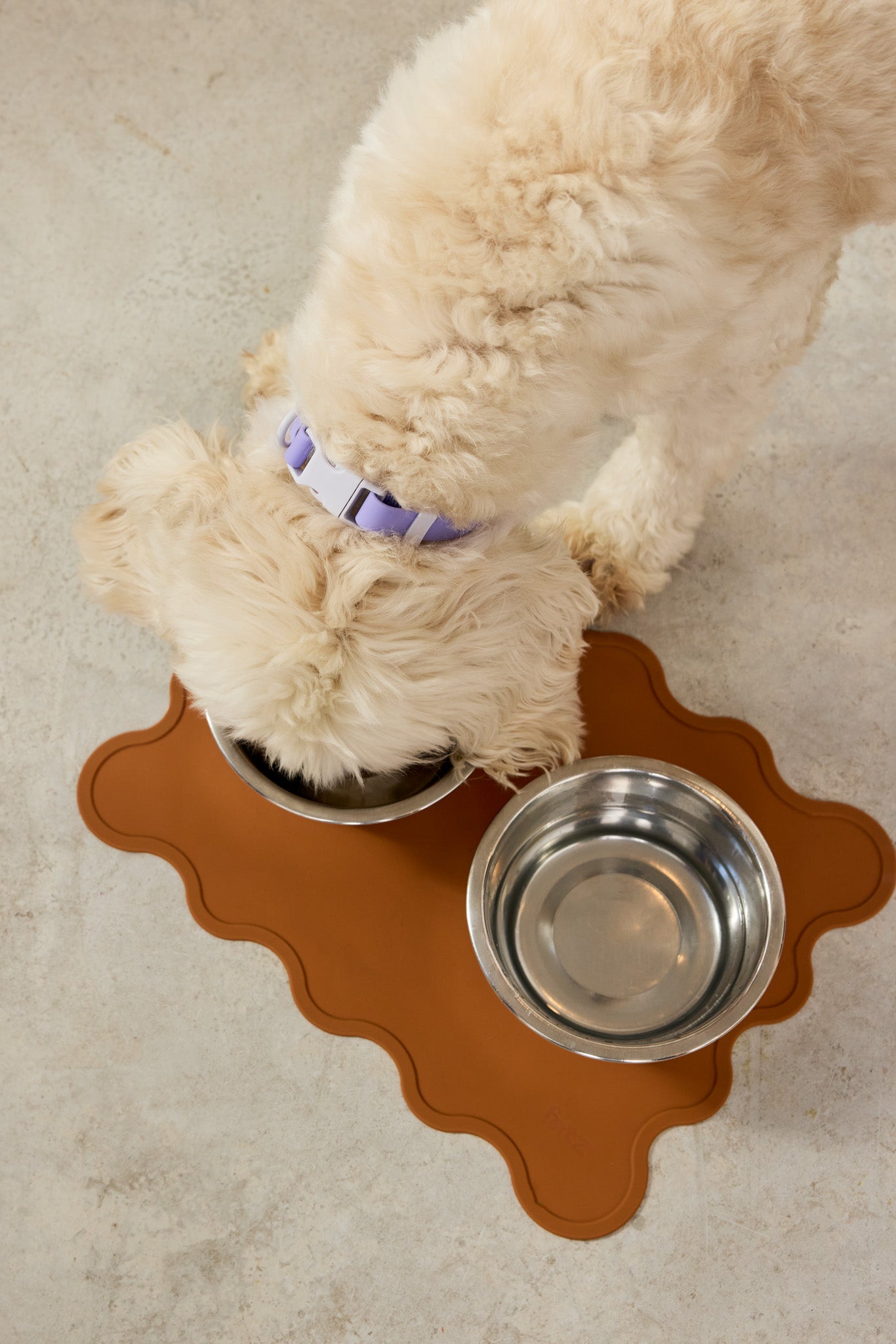 Tapis de gamelle marron