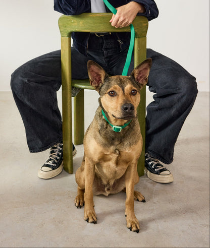 Collier imperméable Liberty Green