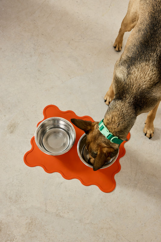 Tapis de gamelle orange