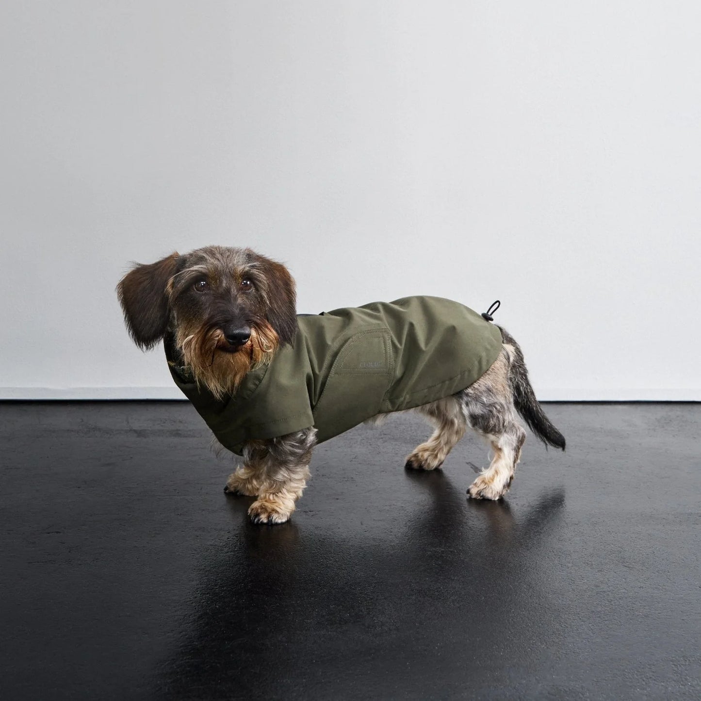 Imperméable Teckel - Dark Olive