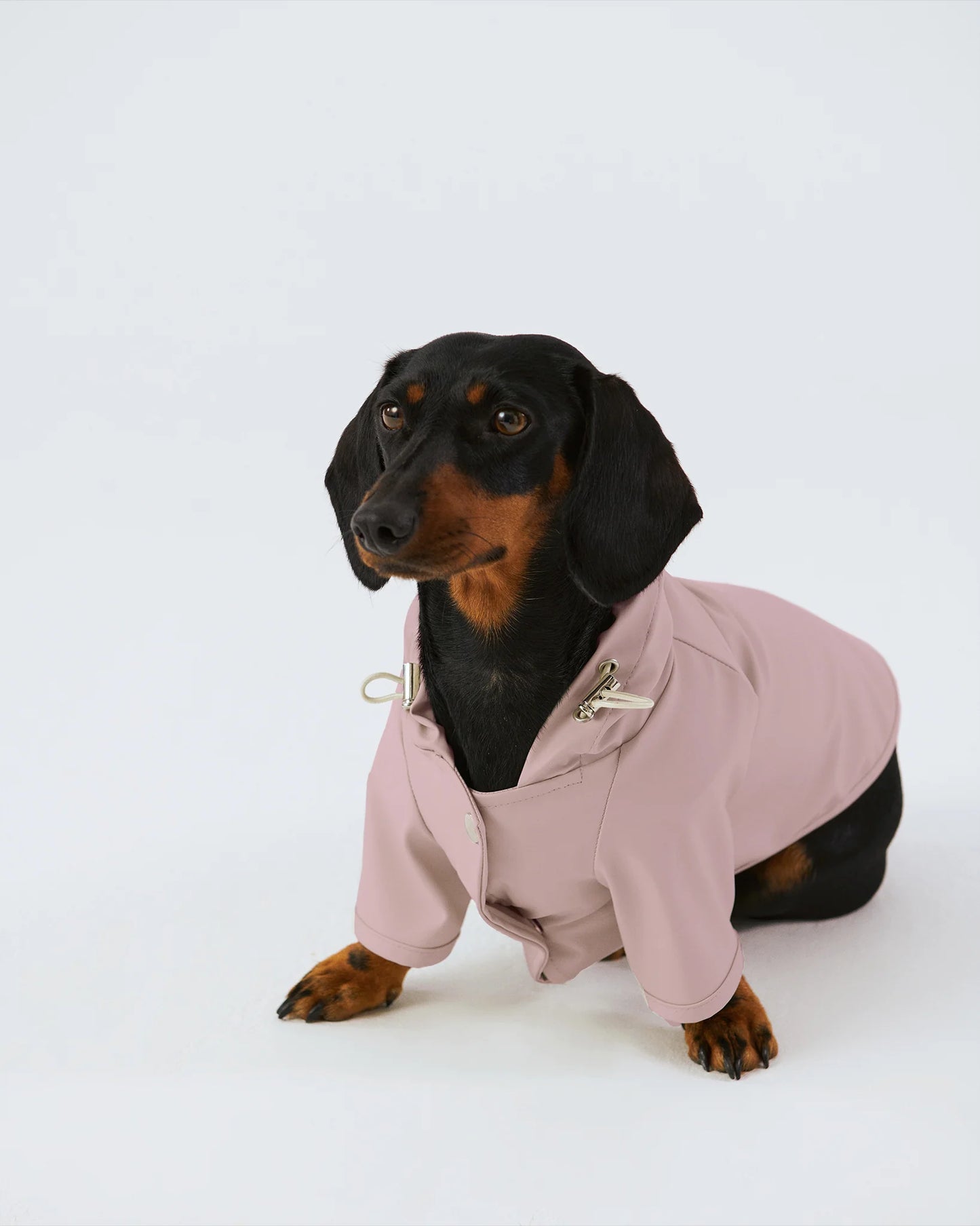 impermeable-pour-chien-bordeaux-nugget