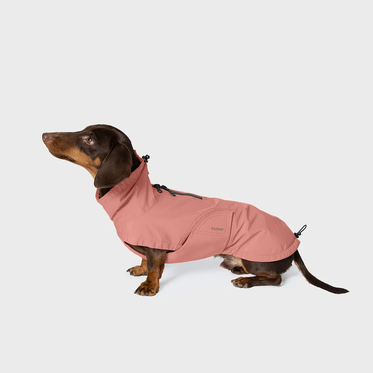 Imperméable Teckel Rose