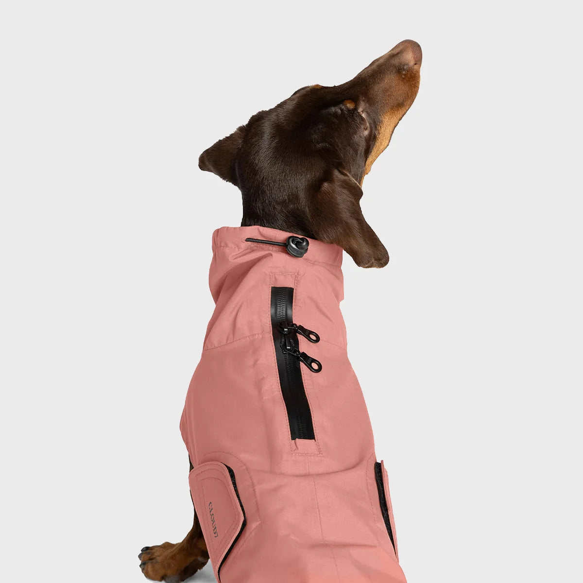 Imperméable Teckel Rose