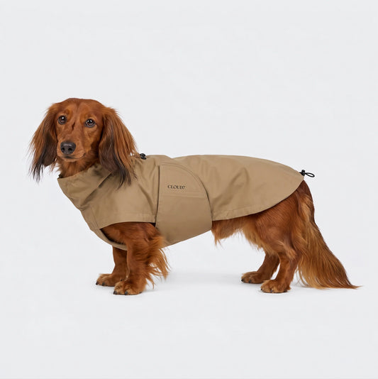 Imperméable Teckel - Sandy Brown