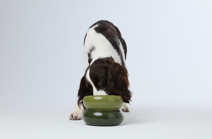 Design pet bowl