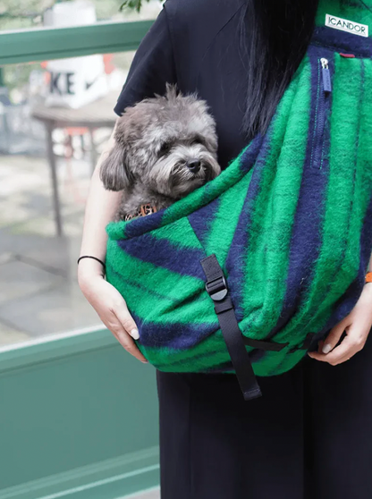 sac-petit-chien-vert-bleu
