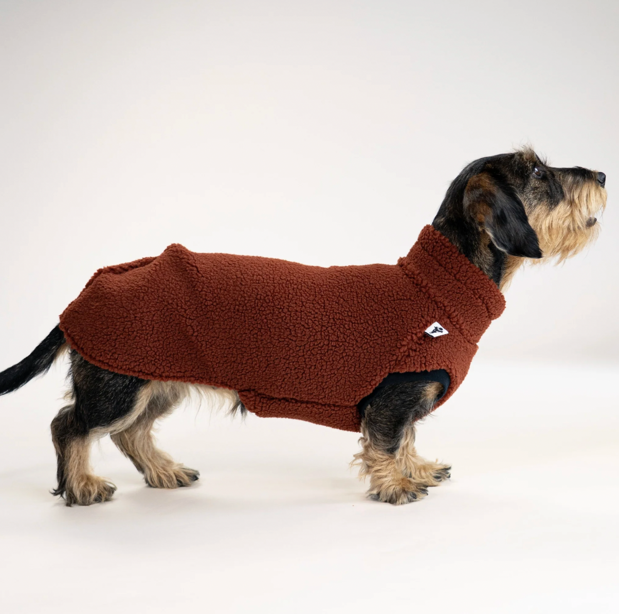 Pull polaire sherpa marron pour teckel