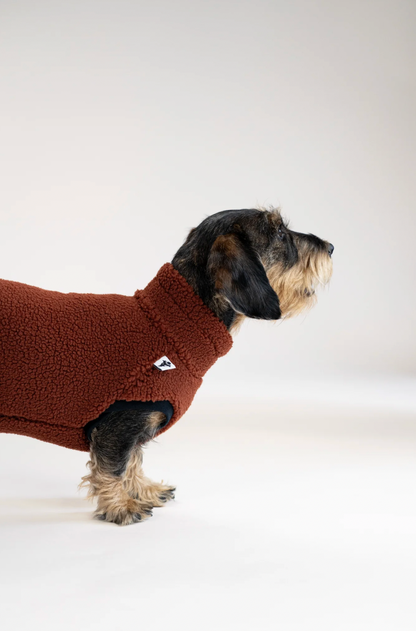 Pull polaire sherpa marron pour teckel