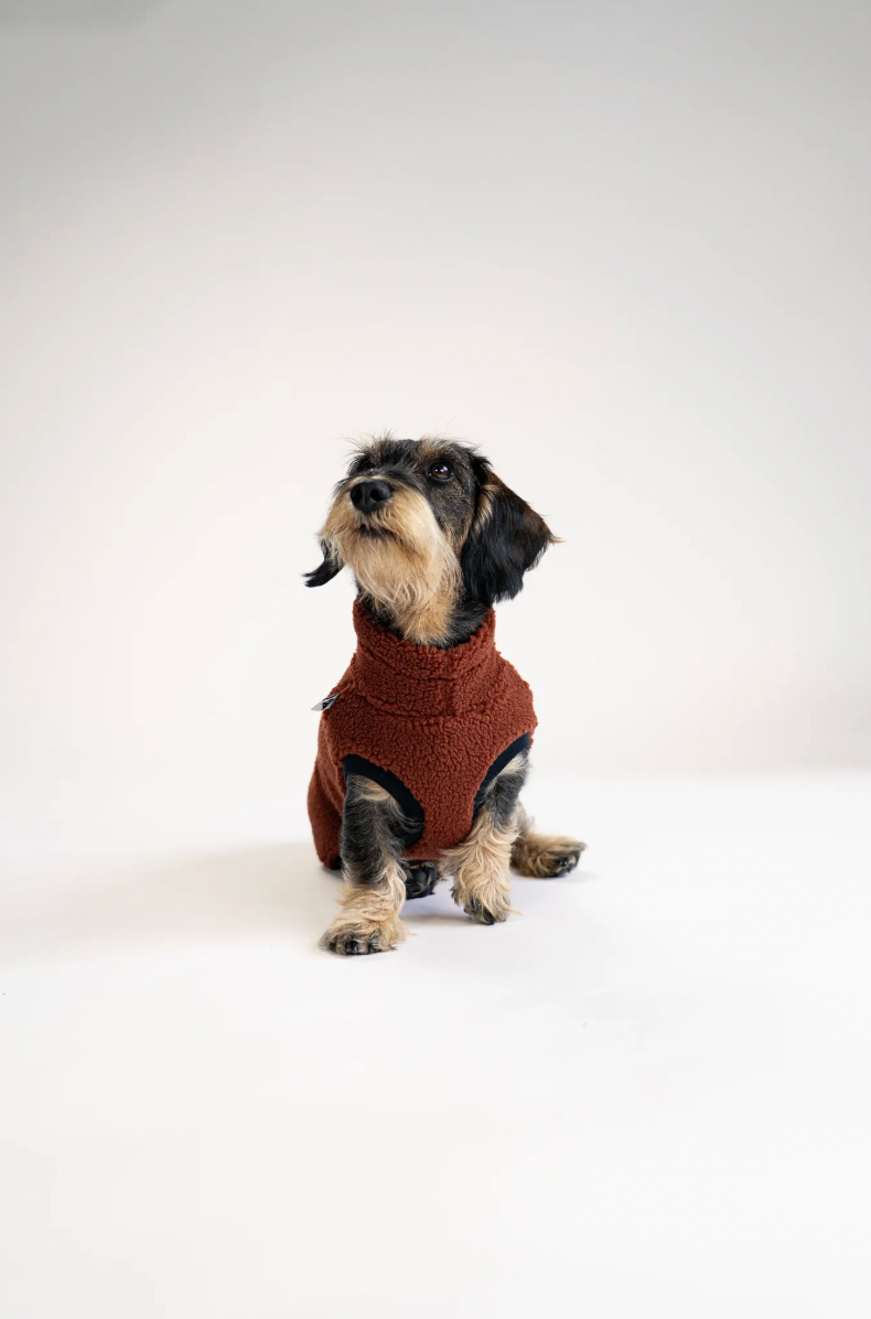 Pull polaire sherpa marron pour teckel