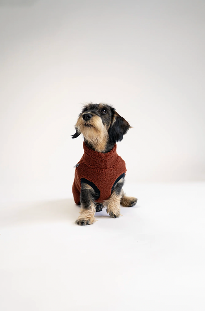 Pull polaire sherpa marron pour teckel