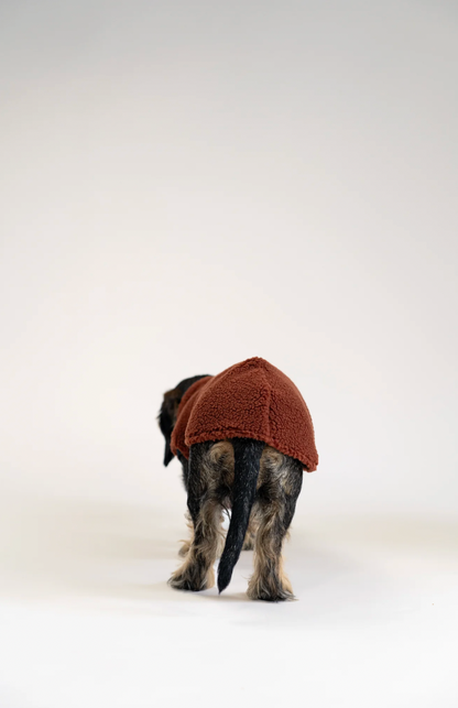 Pull polaire sherpa marron pour teckel