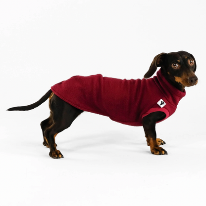 Pull polaire bordeaux pour teckel