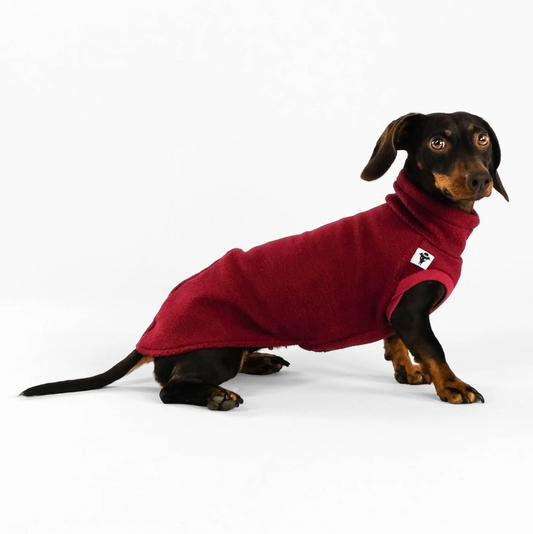 Burgundy fleece sweater for dachshund